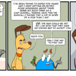 The Westminster Dog Show lets in cats. Gilbert doesn't take it well. by Josh Davenport